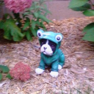 Meet your Posher, James